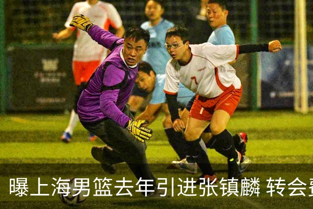 曝上海男篮去年引进张镇麟 转会费投入超5000万